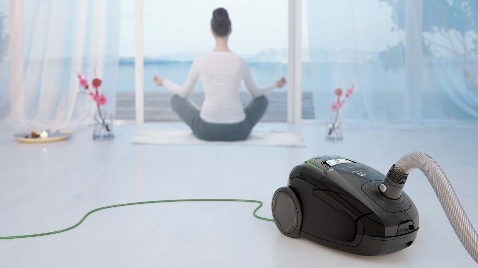 Electrolux UltraSilencer ZEN EUSGREEN58